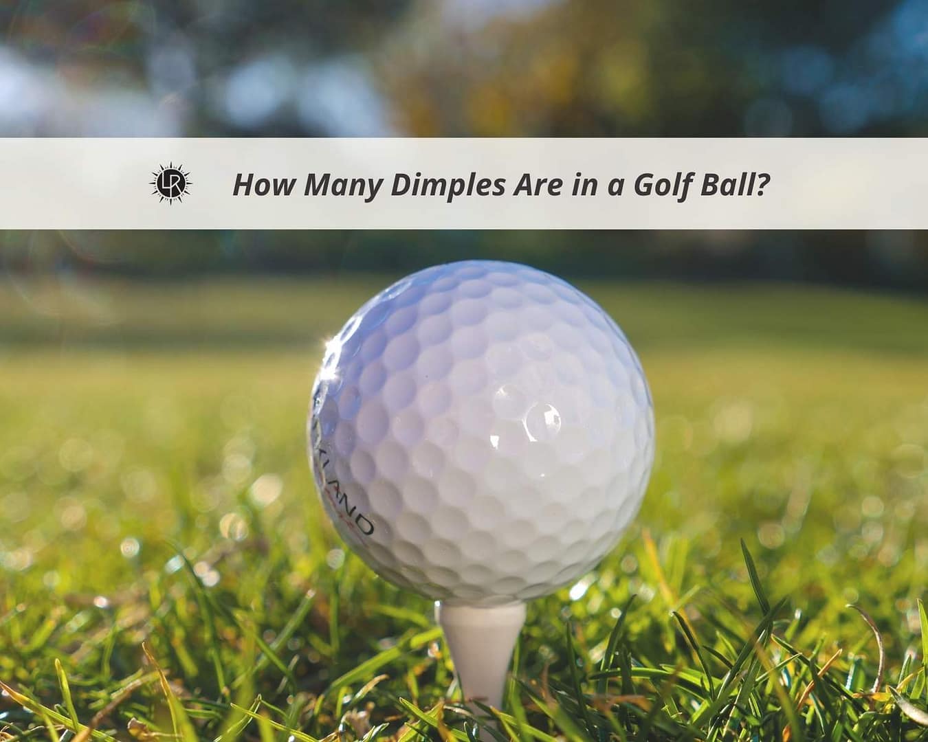 How Many Dimples Are in a Golf Ball - Blog Post Laughlin Ranch