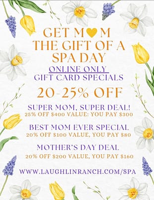 Online Only Spa Specials Laughlin Ranch May 2026